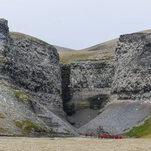 Tourists at the cliffs at Diskobukta with black-legged Kittiwakes (Rissa tridactyla) Tourists at the cliffs at Diskobukta with black-legged Kittiwakes (Rissa tridactyla)