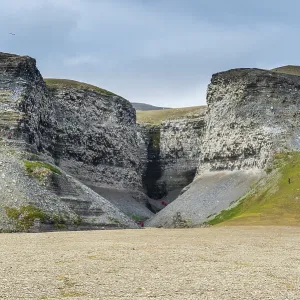 Tourists at the cliffs at Diskobukta with black-legged Kittiwakes (Rissa tridactyla)