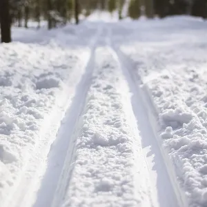 Traces of a ski track on clean white snow in the winter forest