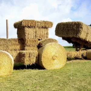 Tractor and trailer made of straw bales