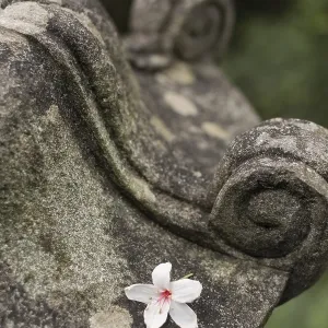 Traditional asian stone lantern in garden