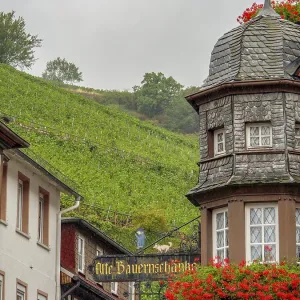 A traditional half-timbered house decorated with flowers in front of a vineyard