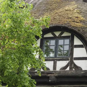 A traditional half-timbered house with a moss-covered roof and a blooming tree in front of it