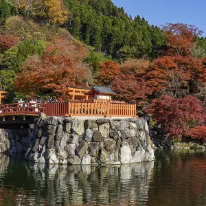 Traditional Japanese garden landscape with red autumn trees and bridge at the pond