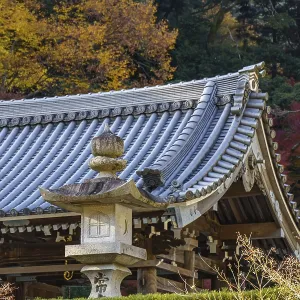 A traditional Japanese temple roof with a stone lantern surrounded by autumn leaves