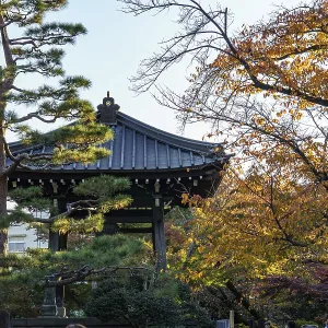 A traditional pavilion surrounded by autumn leaves in a Japanese garden A traditional pavilion surrounded by autumn leaves in a Japanese garden