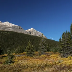 Trail on glacial lake Bow Lake