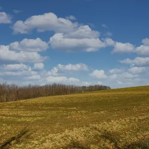 At the transition of a field to a neighbouring forest At the transition of a field to a neighbouring forest