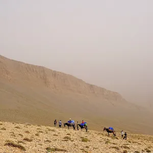 Travellers travelling with mules on a trekking tour in the High Atlas Mountains