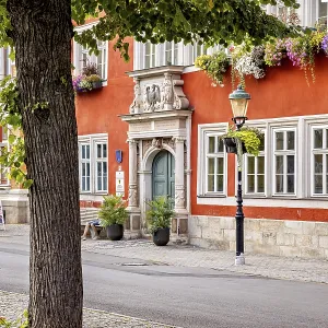 Tree in front of a red house facade with richly decorated windows in a cozy old town setting Tree in front of a red house facade with richly decorated windows in a cozy old town setting