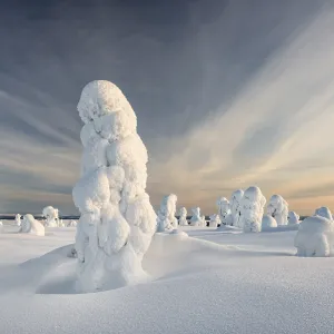 Winter Landscape Print, Riisitunturi National Park, Finland