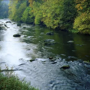 Triebtal near Jocketa, Pohl Dam Triebtal near Jocketa, Pohl Dam