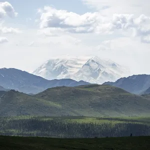 Tundra and glaciated peak of Denali or Mount McKinley Tundra and glaciated peak of Denali or Mount McKinley