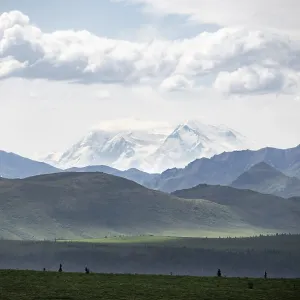 Tundra and glaciated peak of Denali or Mount McKinley