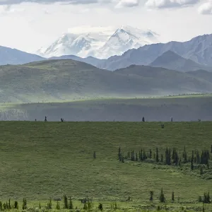 Tundra and glaciated peak of Denali or Mount McKinley