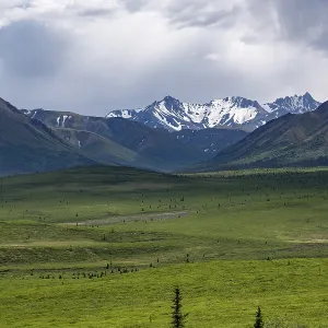 Tundra and mountain landscape with dramatic cloudy sky Tundra and mountain landscape with dramatic cloudy sky