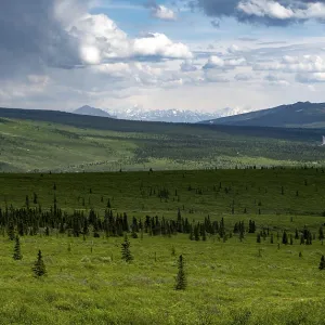 Tundra and mountain landscape with dramatic cloudy sky Tundra and mountain landscape with dramatic cloudy sky