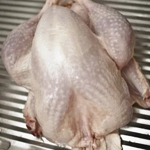 Turkey