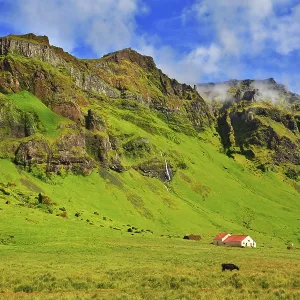 Typical landscape for the summer in Iceland Typical landscape for the summer in Iceland