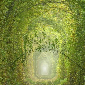 L'Ukraine. L'été dans la région de Rivne.