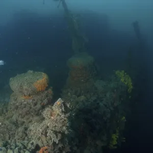 Underwater image of a coral-covered shipwreck in murky surroundings