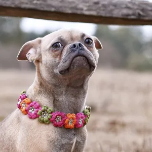 French Bulldog x Pug Mix with Paracord Flower Collar Print