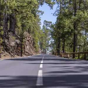 Uphill road in the woods on the way up to Teide Natural Park in Tenerife Uphill road in the woods on the way up to Teide Natural Park in Tenerife