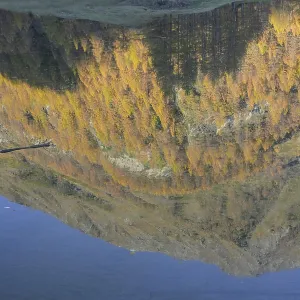 Upside Down Mountain and Autumn Trees Reflected Print, Italy Upside Down Mountain and Autumn Trees Reflected Print, Italy