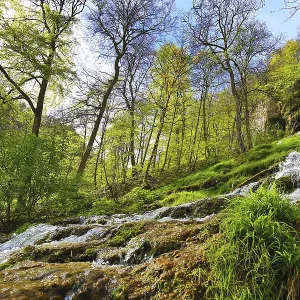 La cascada de Urach con agua fluyendo sobre rocas cubiertas de musgo en un área boscosa. La cascada de Urach con agua fluyendo sobre rocas cubiertas de musgo en un área boscosa.