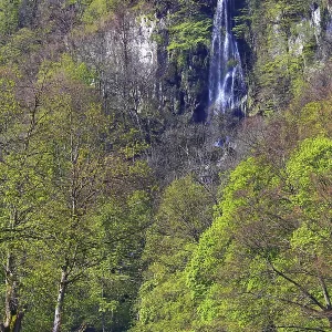Cascada de Urach rodeada de árboles. Cascada de Urach rodeada de árboles.