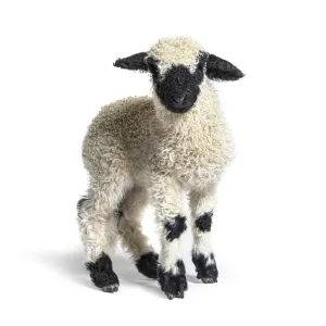 Valais Blacknose Lamb standing in front Valais Blacknose Lamb standing in front