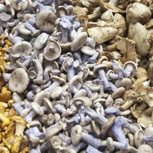 Variety of mushrooms, Borough Market
