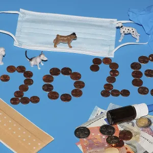 Various miniature dogs with medical devices and euro coins on a blue background Various miniature dogs with medical devices and euro coins on a blue background