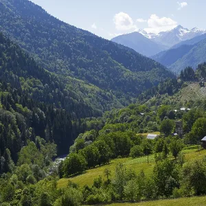 A vast landscape of green meadows and forests A vast landscape of green meadows and forests