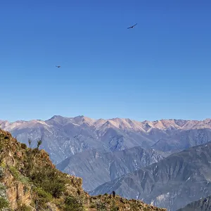 A vast mountain landscape with condors flying high in the blue sky A vast mountain landscape with condors flying high in the blue sky