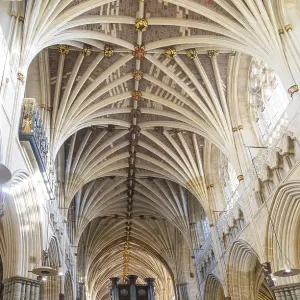 Vaulted ribbed ceiling inside Exeter cathedral church Vaulted ribbed ceiling inside Exeter cathedral church