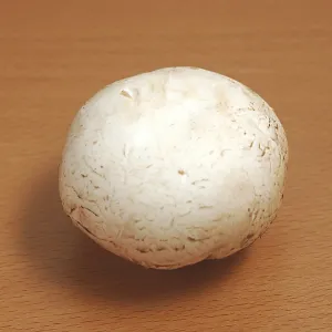 Vegetable, white button mushroom shape top side round Vegetable, white button mushroom shape top side round
