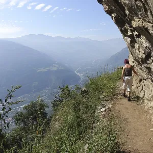 Vellauer Felsenweg Vellauer Felsenweg
