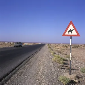 Verkerhsschild, Beware Camel, Jordan Verkerhsschild, Beware Camel, Jordan
