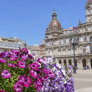 A Coruna Plaza Print: Vibrant Flowers and Historic Buildings A Coruna Plaza Print: Vibrant Flowers and Historic Buildings