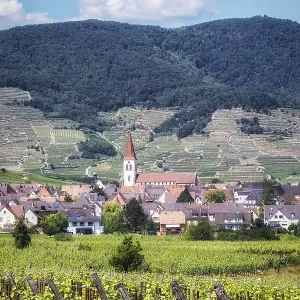 The view of Ammerschwihr and famous grand cru vine yards of alsace The view of Ammerschwihr and famous grand cru vine yards of alsace