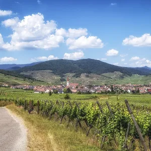 The view of Ammerschwihr and famous grand cru vine yards of alsace The view of Ammerschwihr and famous grand cru vine yards of alsace