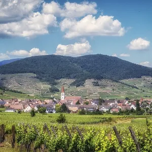 The view of Ammerschwihr and famous grand cru vine yards of alsace The view of Ammerschwihr and famous grand cru vine yards of alsace
