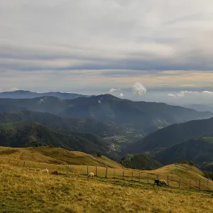 View over Beautiful Mountainscape with Clouds and Sheep in a Sunny Day in Valley Muggio in Ticino View over Beautiful Mountainscape with Clouds and Sheep in a Sunny Day in Valley Muggio in Ticino