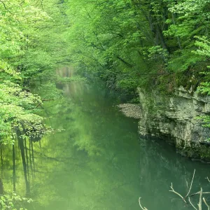 A view of the Bigar river, natural reserve in the Anina mountains