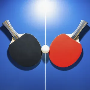 Top view black and red table tennis racket Top view black and red table tennis racket