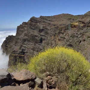 View into the Caldera de Taburiente