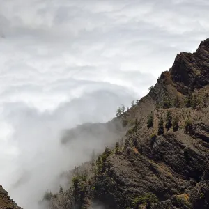 View into the Caldera de Taburiente from the Roque de los Muchachos