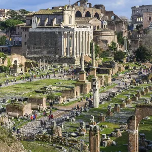 View of the Roman Forum Central Square Print, Rome, Italy