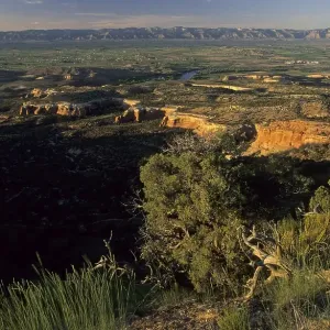 View of the Colorado valley, McInnis Canyons National Conservation Area